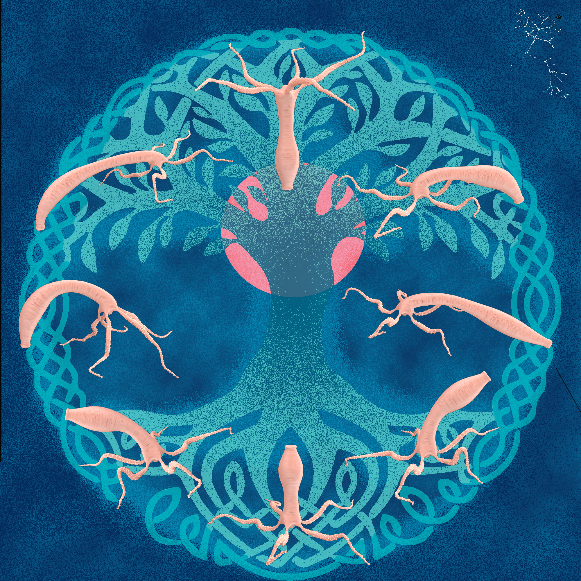 Hydra Ssil